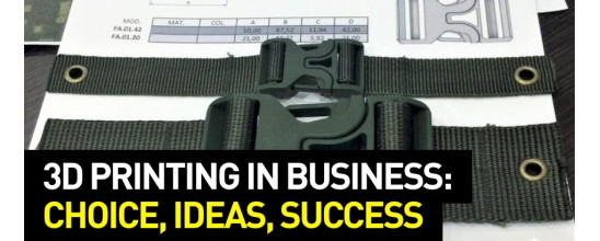 3D Printing in Business: Choice, Ideas, Success