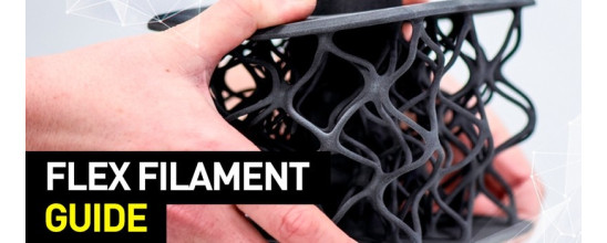 Flex 3D Printing Guide