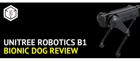 Unitree Robotics B1 Robot Dog Review