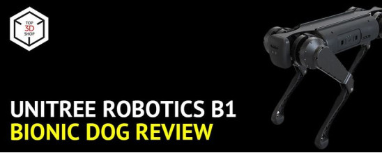 Unitree Robotics B1 Robot Dog Review