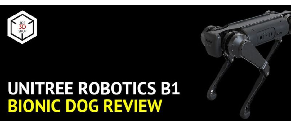 Unitree Robotics B1 Robot Dog Review