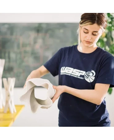 Delta WASP 2040 Clay Ceramic LDM Delta 3D Printer - 4