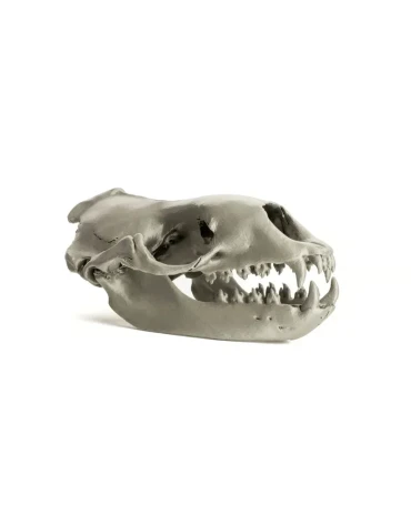 Original Prusa MK4S 3D Printer Kit: Superior Print Quality - 5