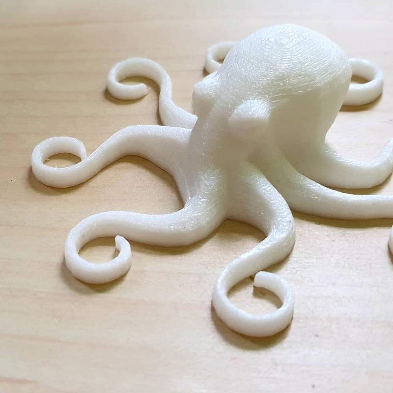 octopus printed on 3d printer anet e16