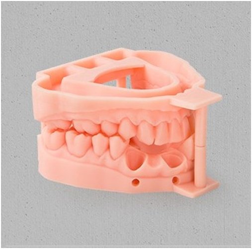 A pink model jowl printed on the Creality Halot Max 3D printer