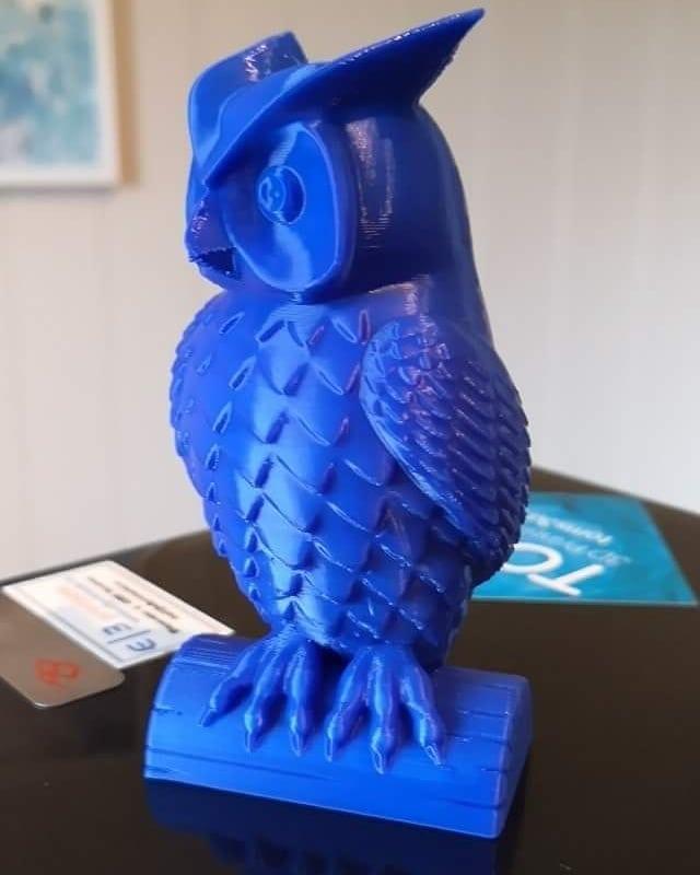 test the 3d printer flashforge adventurer 3 by printing an owl with dark blue PLA