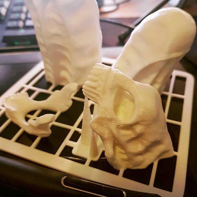 3d model skull printed