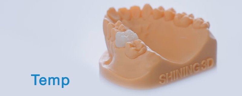 a model printed on the Shining 3D AccuFab-L4D 3D printer