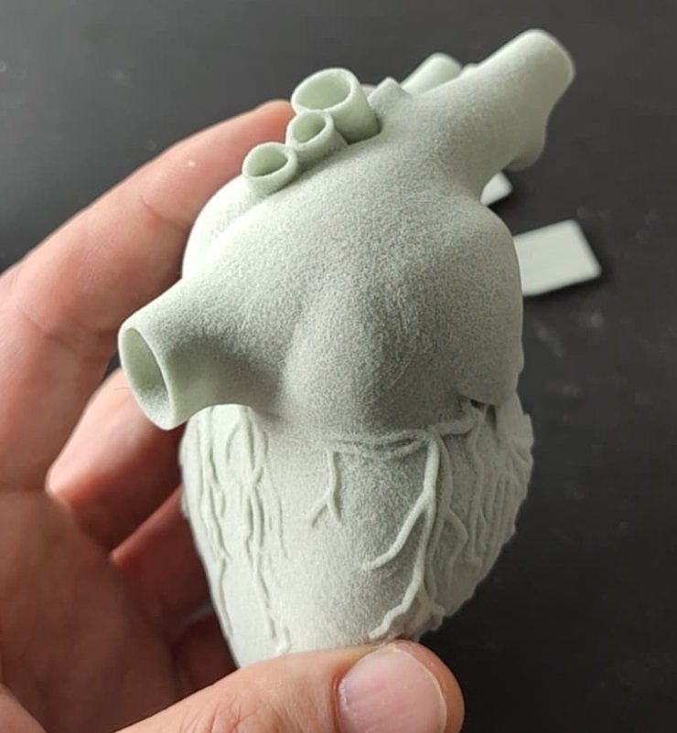 a white model heart pronted on the Sinterit Lisa Pro Set