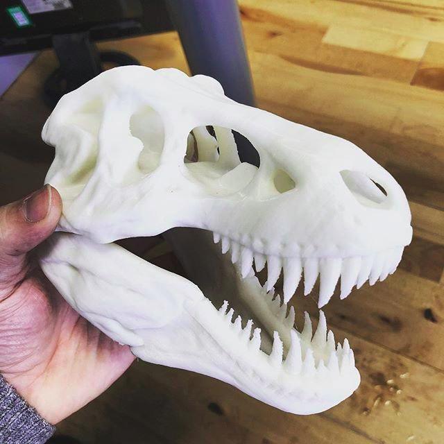 One user 3D printed a dinosaur skull. Imagine the face of future archeologists when digging it up.