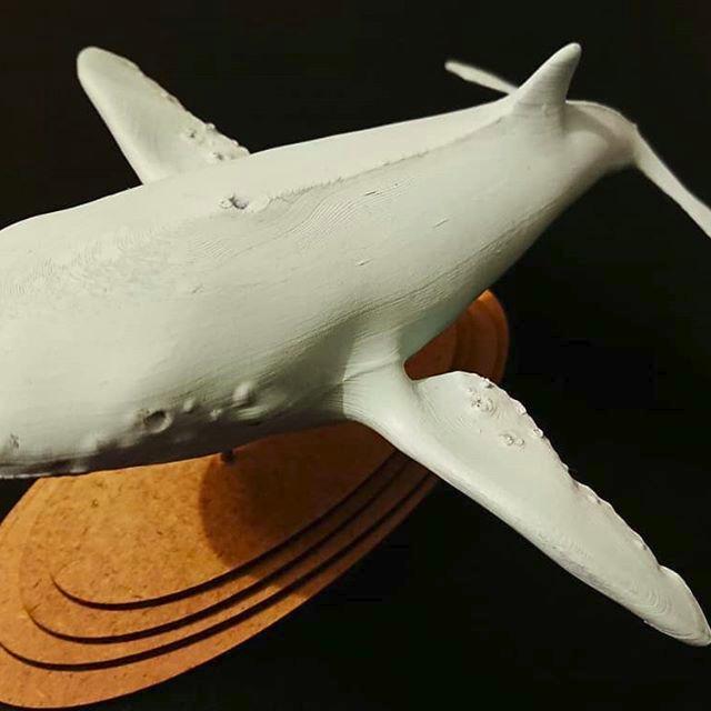 This white whale was built on Zortrax M300 Plus with a PLA material.