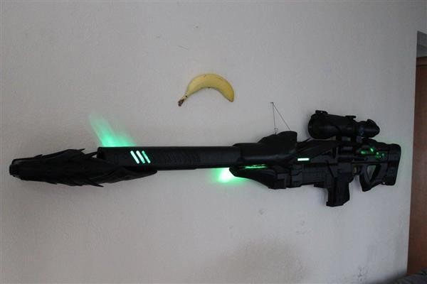 a rifle model from the Destiny game