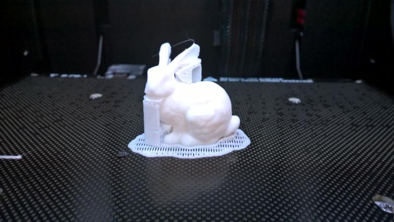 The rabbit model 