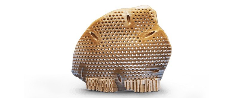 An intricate 3D-printed part created by the creatbot peek-250, showcasing a perforated, curved structure resembling a shell. The part is primarily brown with a gradient effect and small, evenly spaced holes throughout. It rests on two small, structured supports, also printed, emphasizing the printer's precision and capability in producing complex geometrical designs.