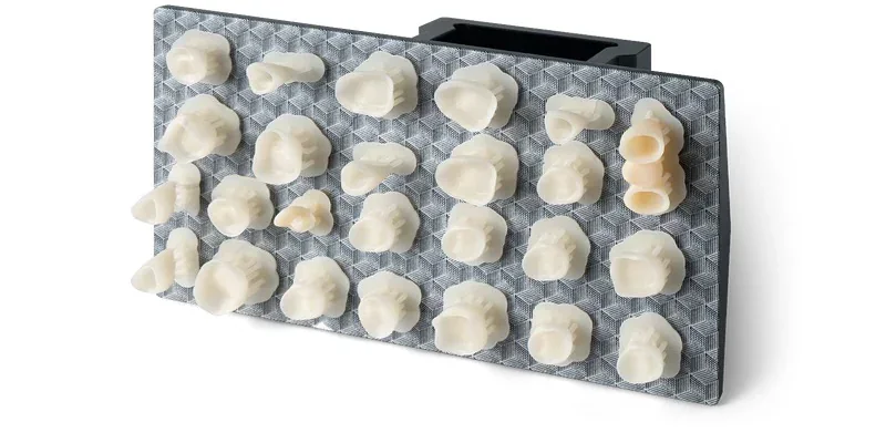 Dental models on a textured tray, created by Phrozen LUMii DLP 3D printer, showcasing precision and detail.