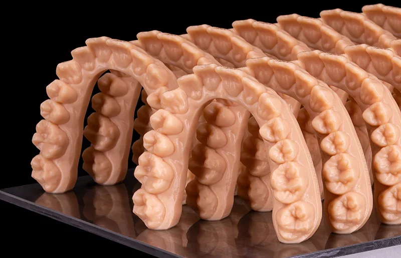 Dental models created by Phrozen Sonic CS+ 3D printer, showcasing detailed, realistic dental arches, aligned on a reflective surface.