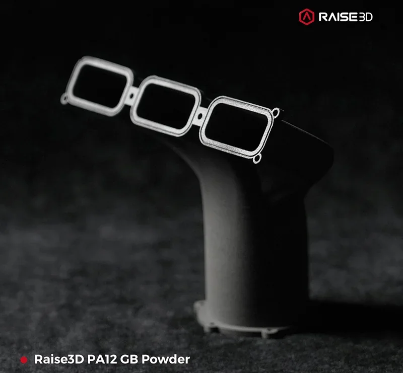 Raise3D RMS220 printed part shown on a dark background, featuring intricate design and branded with Raise3D logo, made using PA12 GB Powder.