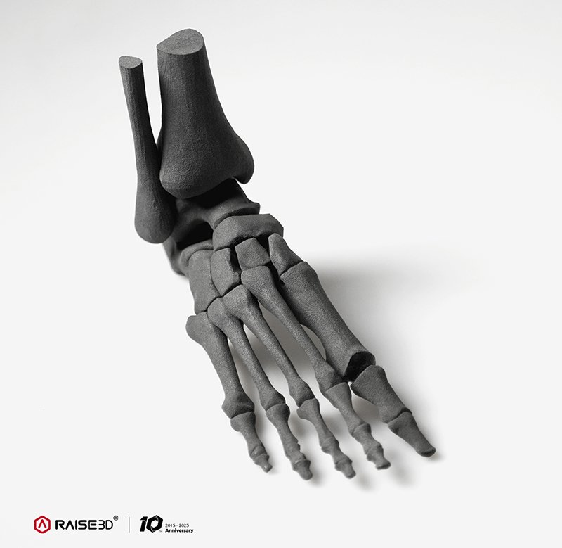 A life-sized 3D-printed model of a human foot skeleton, rendered in black from Raise3D PA11 powder, positioned on a white background. The model includes detailed bones of the ankle, metatarsals, and toes, showcasing the Raise3D RMS220's capability to produce educational and medical models. Branding from Raise3D is seen in the lower left corner, along with a logo signifying a 10-year anniversary, adding context and prestige.