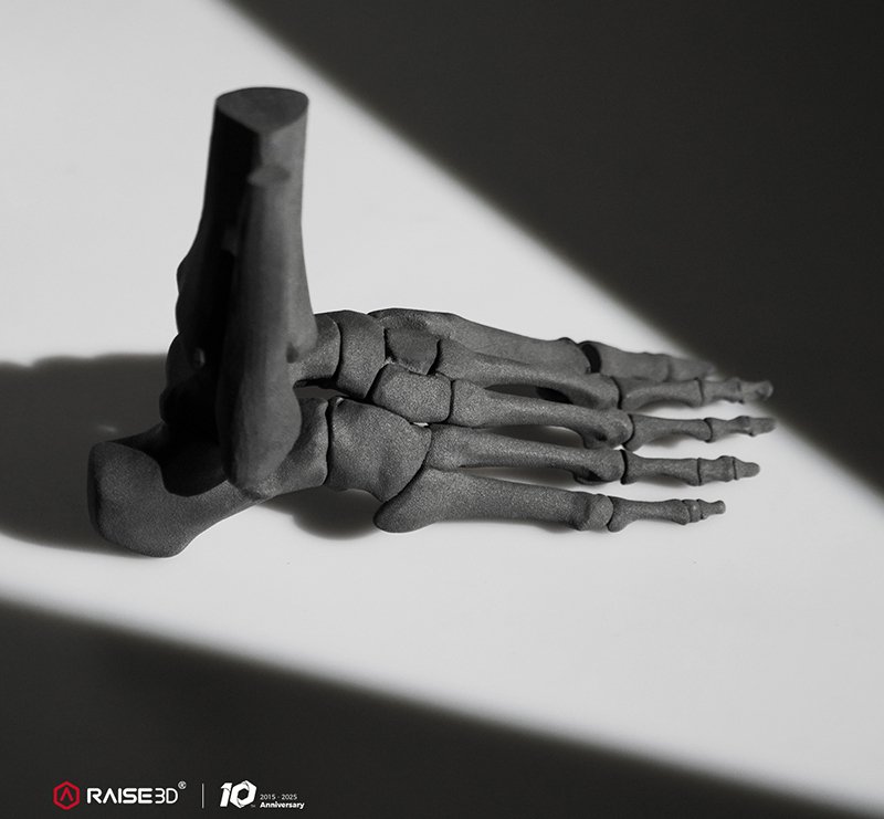 A detailed 3D-printed model of a human foot skeletal structure, created by the raise3d rms220, lies on a flat surface. The model exhibits intricate details of bones, with realistic shading and texture. It captures the complex anatomy of the foot, demonstrating the printer's precision and capability in rendering fine details. The branding of Raise3D is subtly visible in the lower left corner.