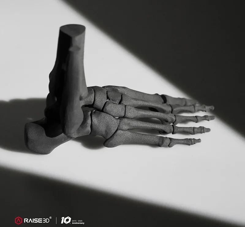 3D-printed foot skeleton model by Raise3D RMS220 on a white surface with shadow contrast, featuring Raise3D branding and anniversary logo.