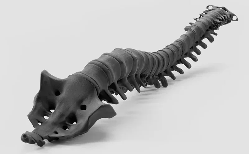 3D printed spine model created by Sinterit Lisa X, showcasing detailed vertebrae structure on a neutral background.