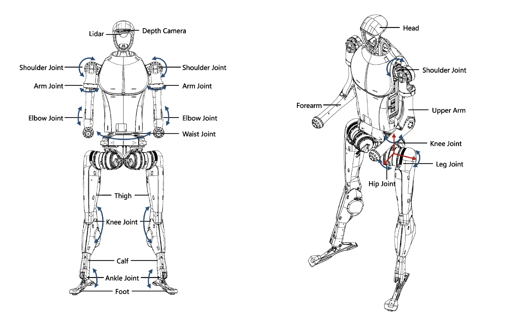 Diagram of Unitree H1 robot showing labeled joints and sensors, including lidar and depth camera, highlighting upper arm, thigh, and hip joint movement.