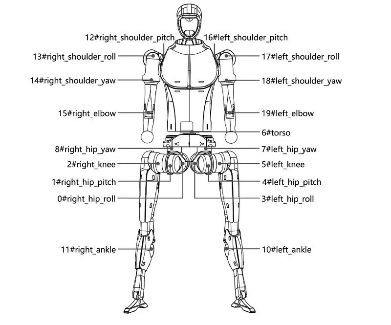 This technical diagram illustrates the layout and articulation points of the Unitree H1 humanoid robot. It details the robot's 20 main joints, labeled with corresponding numbers and descriptions for each, including shoulder pitches, rolls, elbows, hip yaw, knee, ankle, and torso. Each joint is marked clearly to show the robot's range of motion and potential for movement, aiding in understanding its structural complexity and capabilities.