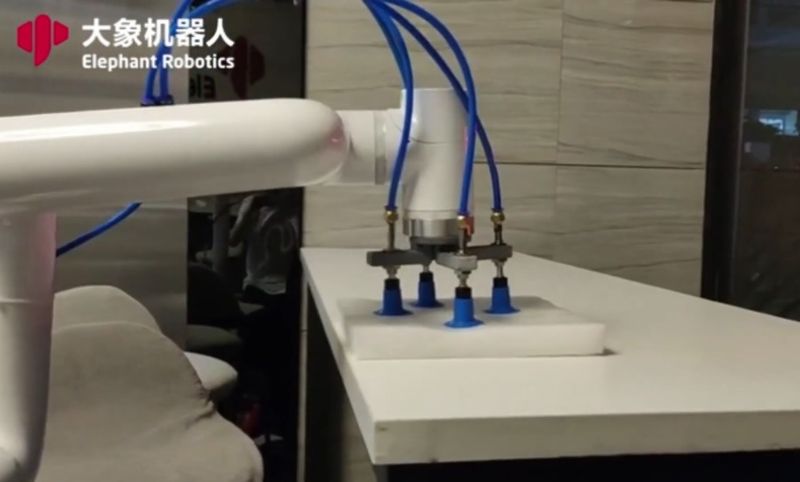 a Elephant Robotics myCobot Pro 600 can perform different tasks