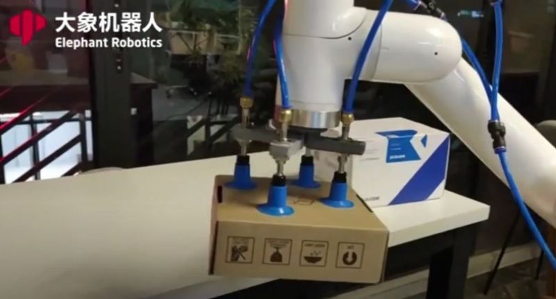 a can move and sort objects, such as boxes, for example on the Elephant Robotics myCobot Pro 600